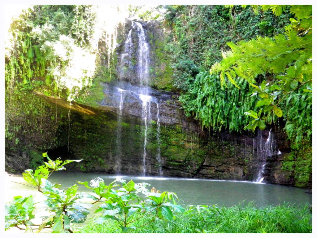 Excursions to the Islands