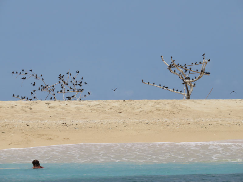 Escursione sull'isola di ' Nosy Fanihy "di fronte al big blue di Nosy Be