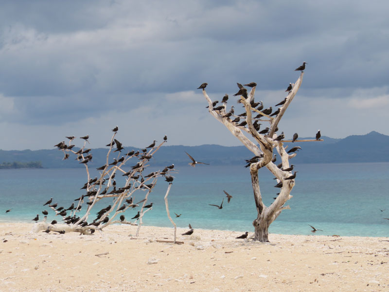 Escursione sull'isola di ' Nosy Fanihy "di fronte al big blue di Nosy Be