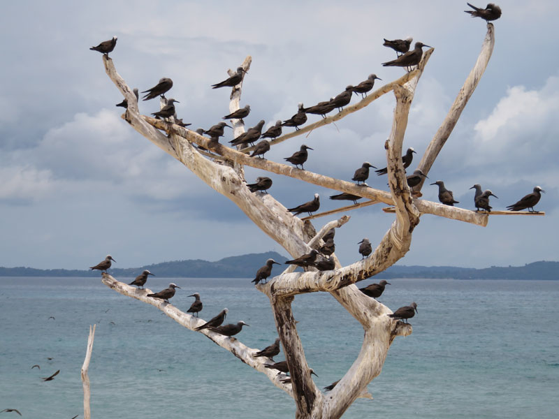 Escursione sull'isola di ' Nosy Fanihy "di fronte al big blue di Nosy Be