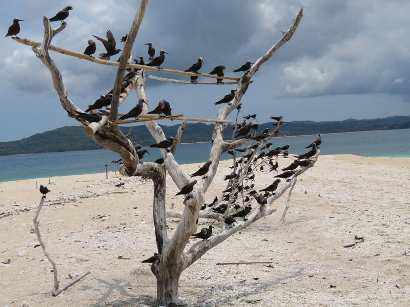 Escursione sull'isola di ' Nosy Fanihy "di fronte al big blue di Nosy Be