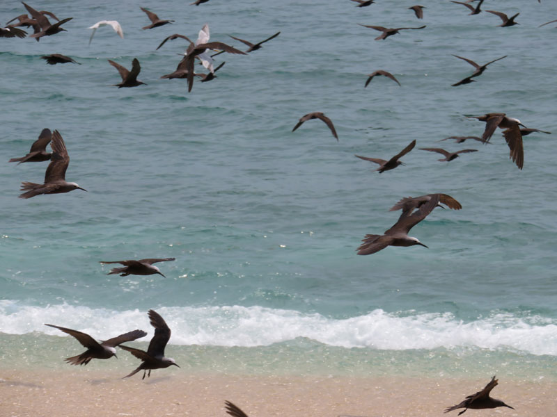 Escursione sull'isola di ' Nosy Fanihy "di fronte al big blue di Nosy Be