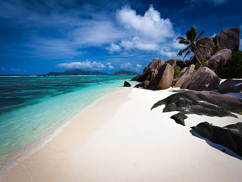 Go to the Seychelles